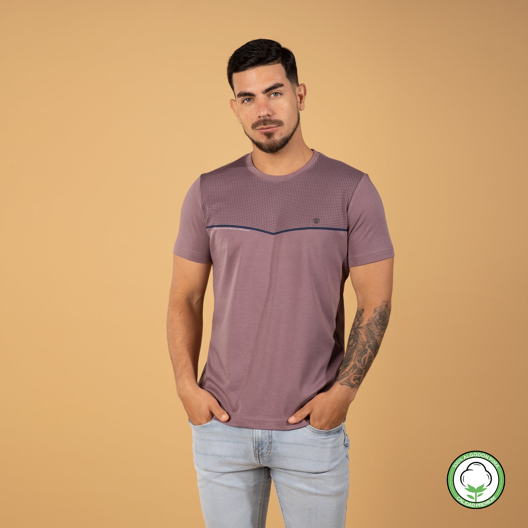 #color_violeta pastel